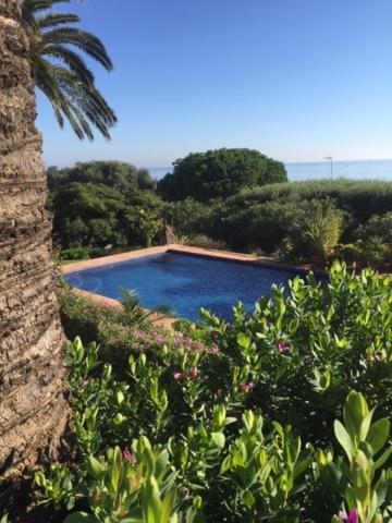 Casa Bahia De Casares Bed & Breakfast エクステリア 写真