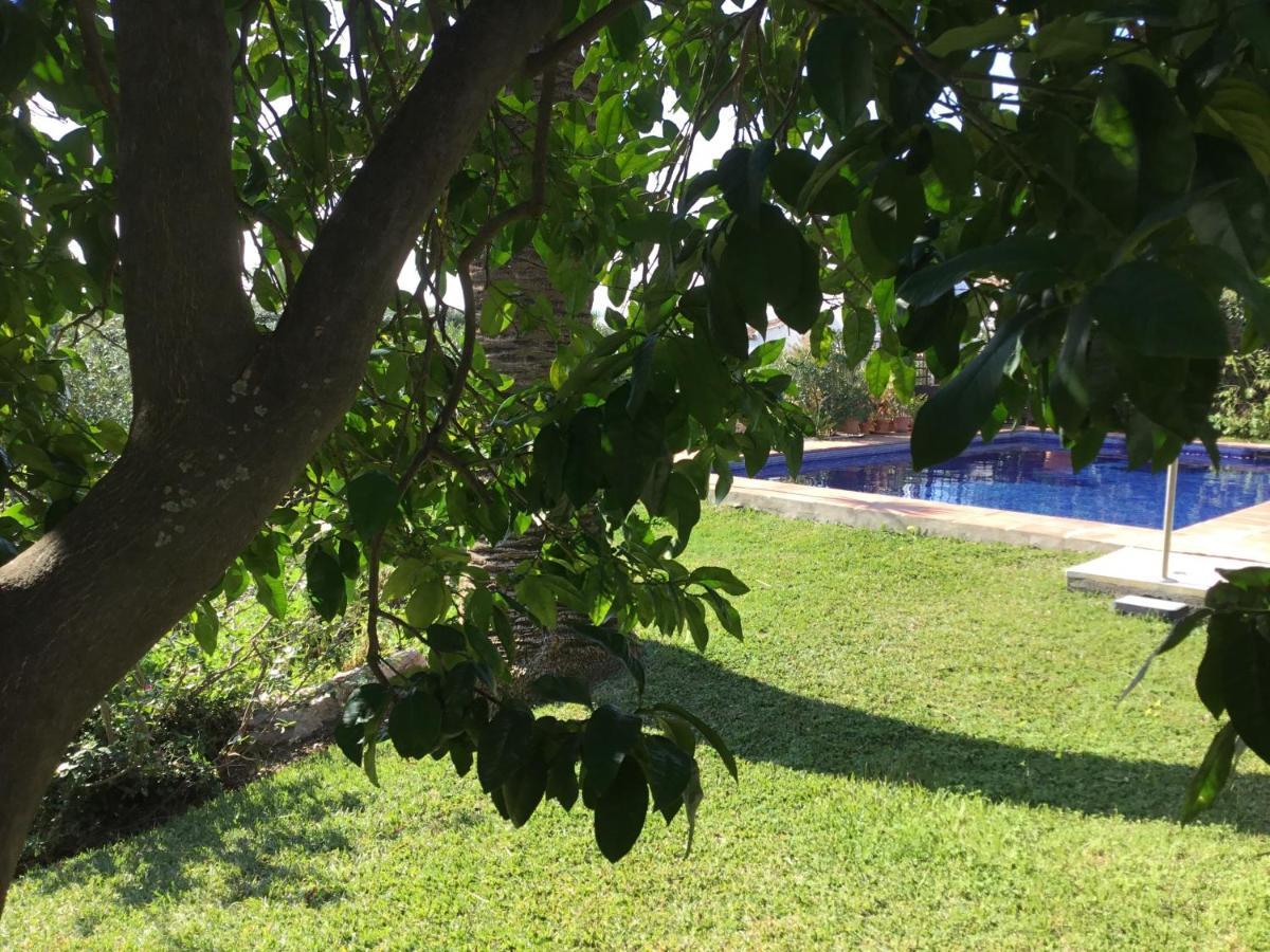 Casa Bahia De Casares Bed & Breakfast エクステリア 写真