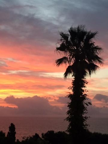 Casa Bahia De Casares Bed & Breakfast エクステリア 写真